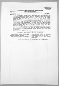 Battarrea phalloides image